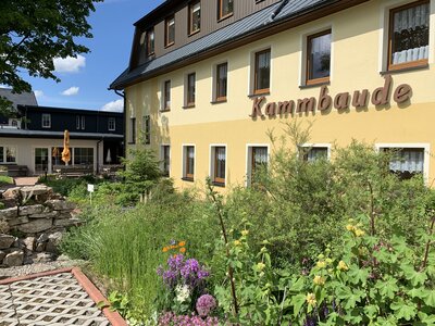 Haus Kammbaude Sommer Kammbaude_Sommer