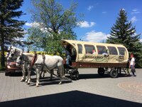 Pferdekutschfahrt ab Hotel Kutsche_Hof